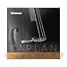 D'Addario Kaplan Cello Single C String, 4/4 Scale, Medium Tension