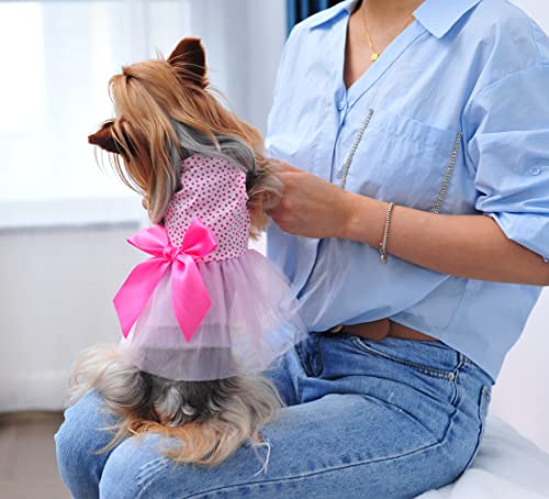 Msnfoasm 2Pack Pet Dog Tutu Skirt,Dog Tulle Spliced With Bow-Knot Dress For Small Girl Dogs Cats(Green&Pink 2Xs) #TOP5