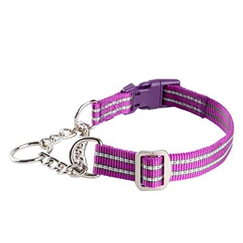 Petiry Metal Chain Martingale Collar Reflective Nylon Choke Collar With Safety Quick Release Buckle,Escape-Proof Anti-Pullfor Small Medium And Heavy Duty Dogs(Purple,Small) #TOP12