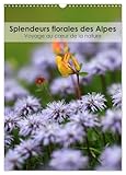  Splendeurs florales des Alpes - Voyage au coeur de la nature (Calendrier mural 2025 DIN A3 horizontal), CALVENDO calendrier mensuel: Partez en voyage ... la beauté éblouissante des fleurs alpines.