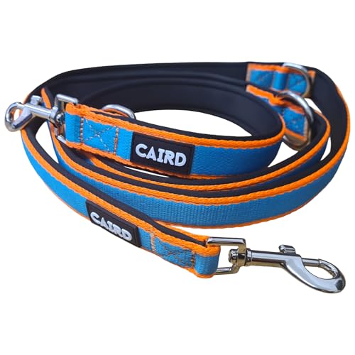 Laisse de dressage double CAIRD 2m réglable en nylon robuste