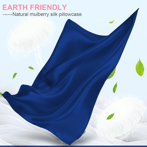Mulberry Silk Pillow Cases Queen Size with Hidden Zipper, Ultra Smooth and Soft Breathable Cooling Silk Satin Pillowcase for Hair and Skin, Gifts for Women Men (Royal Blue, 20x30 Inches, 1 Pack)