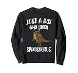 Photo Gallery just a boy who loves spinosaurus dinosaur felpa Photo Gallery just a boy who loves spinosaurus dinosaur felpa