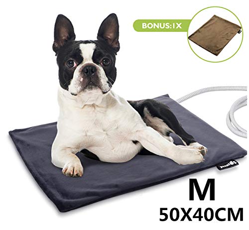 Cuscinotto Riscaldante USB A Forma Di Gatto: Sollievo Da Crampi E Stress