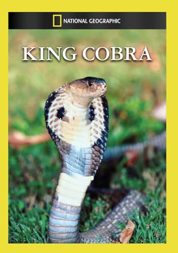 King Cobra [Edizione: Stati Uniti]