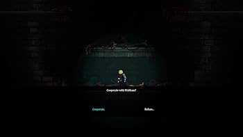 Amazon.com: FXH HKBV388 : Video Games