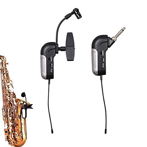 Best Wind Instrument Microphone Expert Review The Modern Record