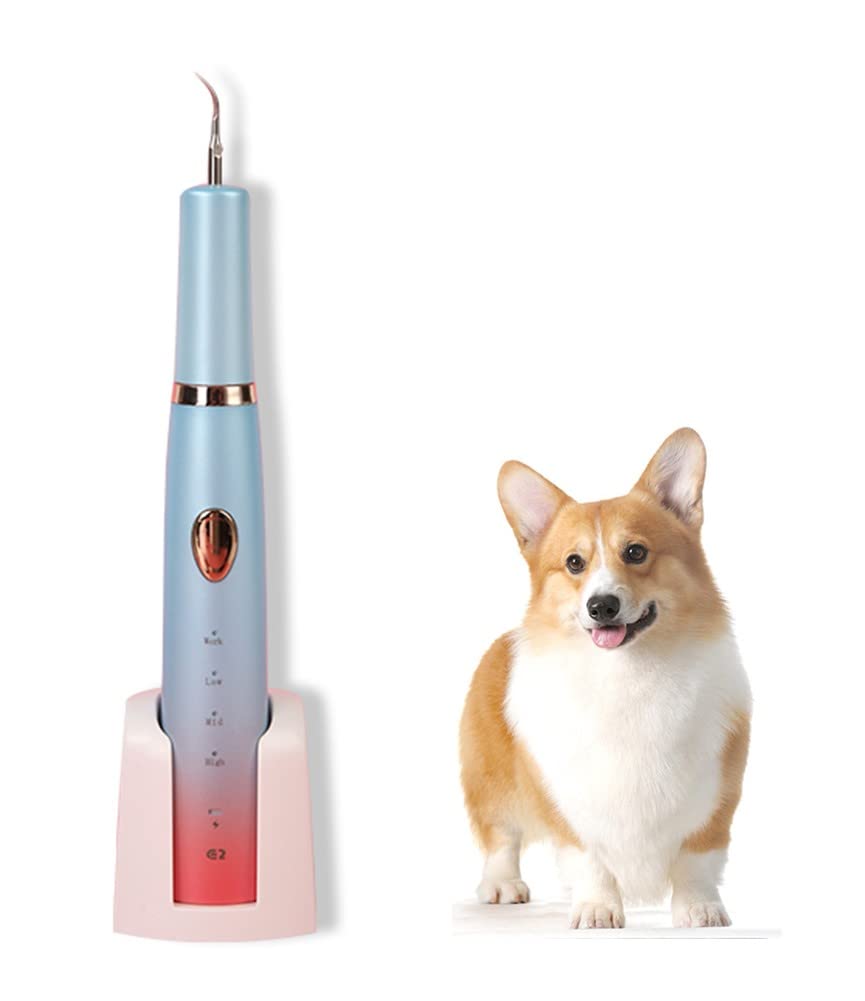 Cepillo De Dientes EléCtrico para Mascotas Limpiador De Sarro Pulidor EléCtrico De Dientes para Mascotas Limpiador De Manchas De Placa Cachorro Cuidado Dental Kit De Limpieza para Perros Gatos
