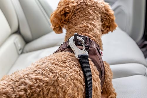 Car Safety Belt V2 S