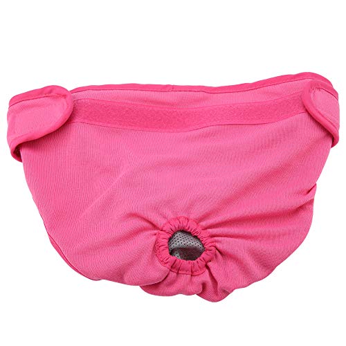 Ropa Perros Pequeños Hembra Marca Pssopp