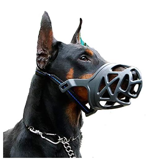 Dog Muzzle, Breathable Basket Muzzles for Small, Medium, Large and X-Large Dogs, Anti-Biting, Barking and Chewing Dog Mouth Cover (XL, Black)