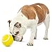 GURU Pet: Giggling Tennis Ball - Large - 4.5
