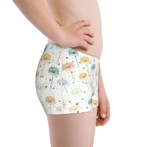 Boys' Cotton Boxer Brief Soft Underwear-Dandelion2