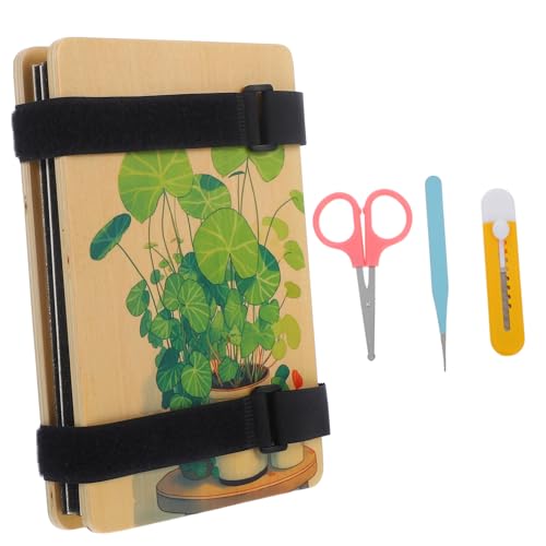 Kit presse à fleurs adultes anti-flétrissement et instructions conservation plantes