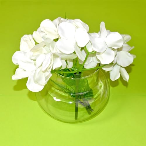 Image of Aradhya Enterprises Glass Vase for Bamboo Plant, Money Plant, Flower Vase, Candy Jar (Pack 2)