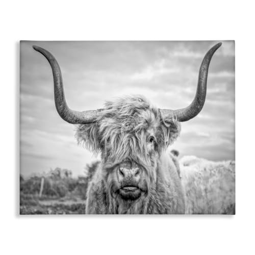 Stupell Industries Black and White Highland Cow Photograph Canvas Wall Art Design By Joe Reynolds 24 x 30