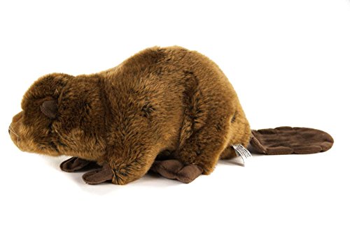Kuscheltier Biber 25 cm (40cm mit Schwanz) liegend braun Nager Plüschbiber Nagetier Plüschtier Uni-Toys