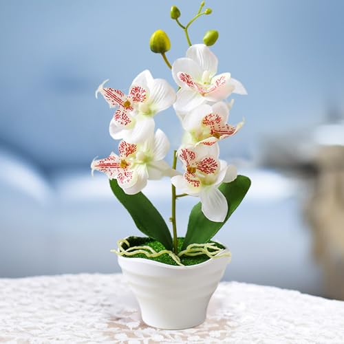 Orchidée artificielle phalaenopsis pour décoration de table basse