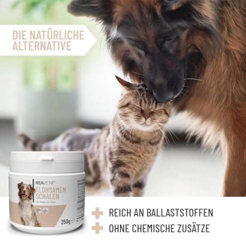ReaVET Flohsamenschalen für Hunde & Katzen 250g - Naturrein in Premium Qualität, Ballaststoffreich, Glutenfrei I Flohsamen für Hund & Katze in Premiumqualität, Ohne Zusätze
