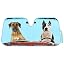 2 Dogs Driving