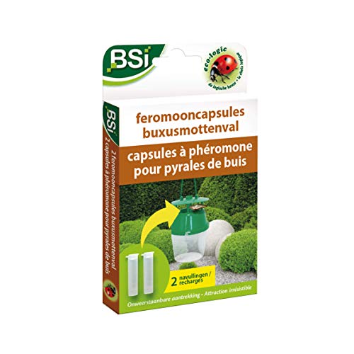 BSI - Recharge Piège A Phéromones - pour Pyrale du Buis - Agit Jusqu'à 3 Mois - 2 Capsules, sans