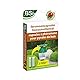 BSI 64191 Capsules de phéromones piège pyrale du buis Pheromonkapseln, Buchsbaumzünslerfalle, Kunststoff, ohne