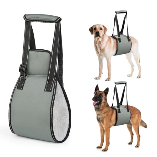 OHCOZZY Grigio Imbracatura per Cani con Maniglia, Pettorina Cane Taglia Regolabile per la Riabilitazione, Morbido Supporto per Le Zampe Posteriori per Cani Anziani, feriti, disabili,L