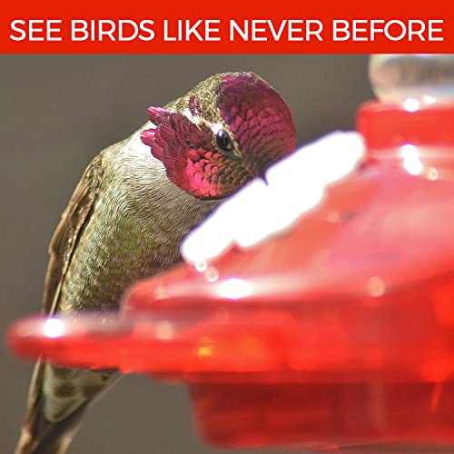 Window Hummingbird Feeder With 3 Colors Of Interchangeable Flowers For Outdoors Hanging, Use With Hummingbird Nectar. Window Hummingbird Feeders For Outdoor. Hummingbird Feeder Window Mount #TOP3