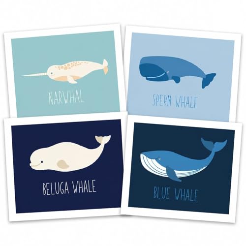 Nautical Whale Nursery Wall Art Prints, Set of 4 (11x14) Unframed Posters – Ocean Nursery Decor with Narwhal, Beluga, Sperm & Blue – Educational Gender Neutral Kids Room & Classroom Art