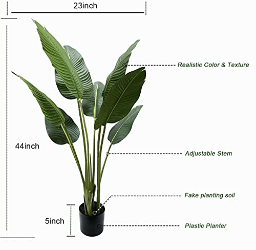 Recopilación y reviews de Planta hoja elegante para comprar online. 38 Imagen adicional