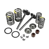 Fit für: Lifan 125cc 140cc 150cc Horizontalmotoren (elektrischer Start, Trittstarter, 1 + 1 Gang, 3 + 1 Gang, luftgekühlt, Ölkühlung) Schmutz-Bike-Pit-Bike-Affe-Bike Quad Go Kart-Motorräder