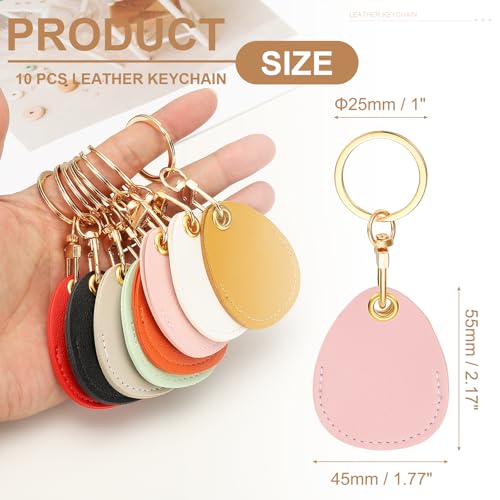 Porte-clés vierges en cuir synthétique rose pour étiquette chien chat 10 pcs