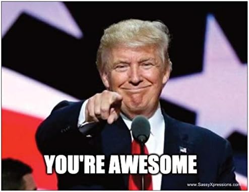 SassyXpressions.com Thank You Gift for Volunteers, Employees, Donors, Poll Workers, Athletes, Graduates, Nurses, Doctors, Conservatives, Republicans, Democrats and Loved Ones Refrigerator Magnet