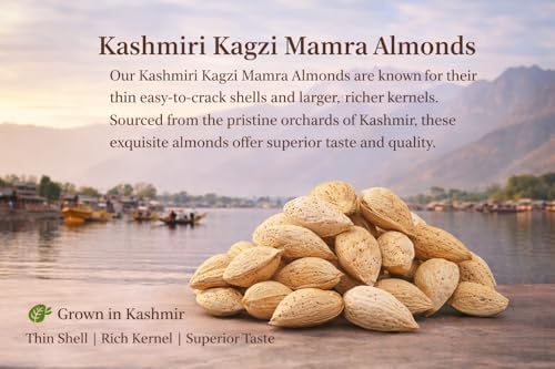 Image of Kashmir Valley Harvest Kashmiri Kagzi Mamra Almonds With Paper Shell - 250g | 100% Natural | Premium Badam in Shell | Authentic | High in Fibre | Boost Immunity | Organic (Pack of 1)