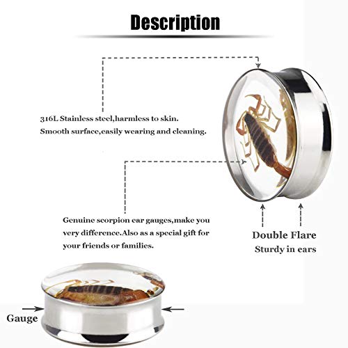 Ear Gauges Plugs Genuine Scorpion Inlay Stainless Steel Double Flare Tunnels Stretching Expander Body Piercing Jewelry 2 Pieces4