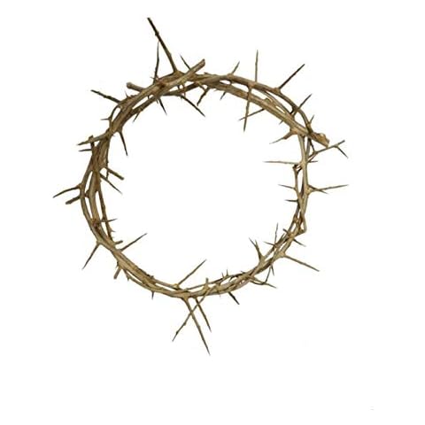 Bethlehem Gifts TM Authentic Jesus Biblical Crown of Thorns from The Holy Land (4" Diameter) Cover