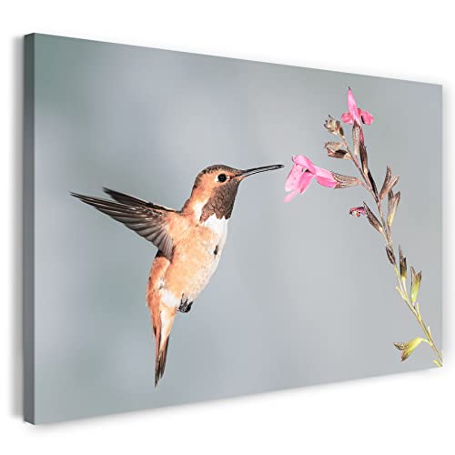 Toile colibri forêt nature 80x60 cm pour décoration salon zen