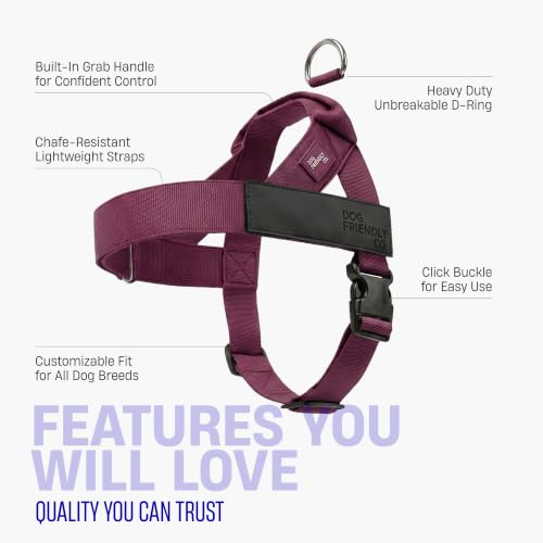 Image of Dog Friendly Co. Dog Harness for Medium Sized Dogs (Burgundy, Medium)