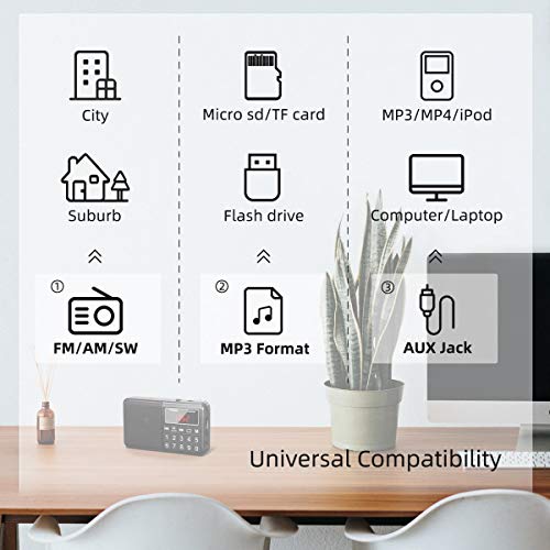 PRUNUS J-429 Small Radio, Pocket, AM FM SW USB Charging, Large Button, Neodymium Speaker, Auto Save, USB Flash Drive, SD Card AUX Input MP3, Shortwave for Elderly and Senior(Black)