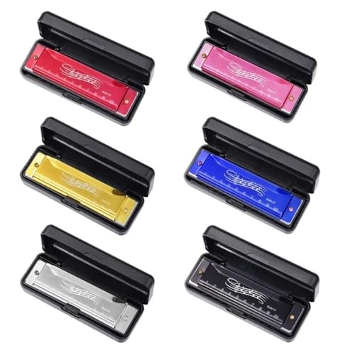 Harmonica C 10 trous diatonique en noir avec ses 20 notes pour l'initiation musicale