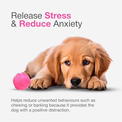 Image of Play Ball for Dogs and Pets |Durable Natural Rubber Squeaky Ball Dog Toy|Cute Puppy Paw, Fetch & Chew Safe Play Ball & Reduces Anxiety (Pink)