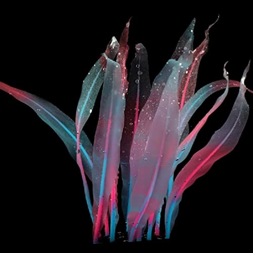 Aquarium Artificial Kelp Soft Silicone Plant Move With Water Flows 7 Inch High Realistic Seaweed Fish Tanks Decorations Silicone Seaweed Aquarium Plant Kelp Aquarium Plant Decor Realistic Fish Tanks