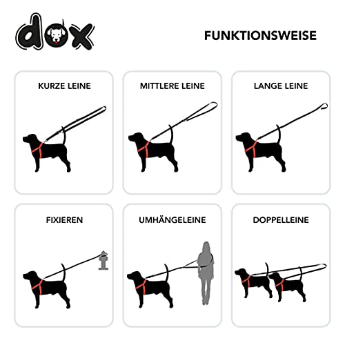 DDOXX Nylon Hundeleine - 2m, 3fach verstellbare Hundeleine für alle Hundegrößen - M (Gelb)