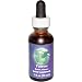 Flower Essence Services Yarrow Dropper Herbal Supplements, 1 Ounce