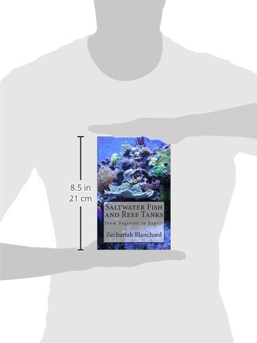 Saltwater Fish and Reef Tanks: From Beginner to Expert