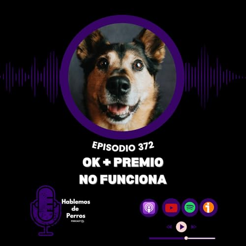 Episodio #372: Ok + premio no funciona