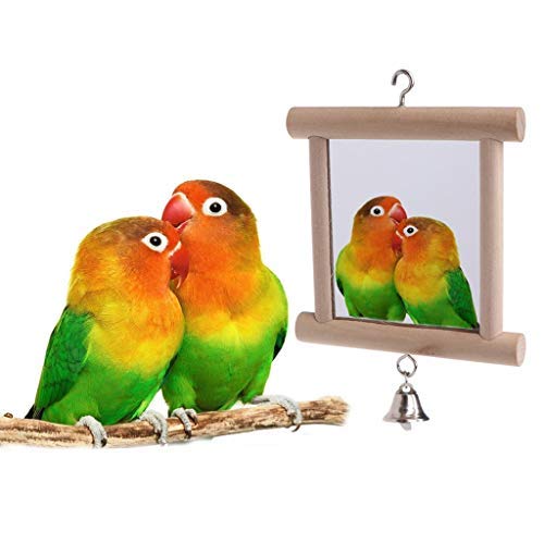 2 Stück Papageien-Spiegelschaukel Aus Holz – Lustiges Vogelspielzeug Für Wellensittiche & Co.