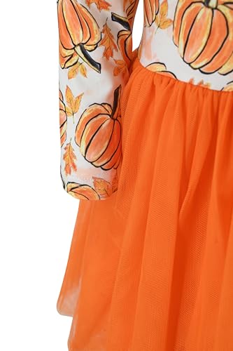 Image of Girls Long Sleeve Tulle Tutu Dresses for Kid and Toddler
