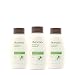 Aveeno Positively Radiant Exfoliating Body Wash with Moisture-Rich Soy Complex & Crushed Walnut Shell for Dry, Dull Skin, Soap-Free, Dye-Free & Hypoallergenic Formula, 18 fl. Oz (Pack of 3)