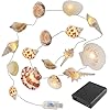 Ocean Beach Themed String Lights Real Conch Shell Design7FT 20 LED Fairy Lights with 8 Modes Dual Powered BatteryUSB Operated for Hawaii Parties Bedroom Outdoor Decor
